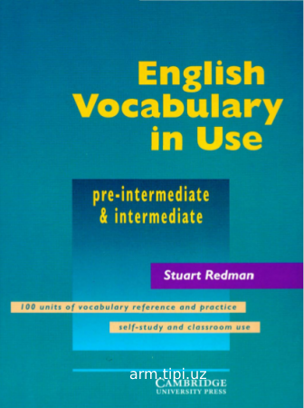 ENGLISH VOCABULARY IN USE